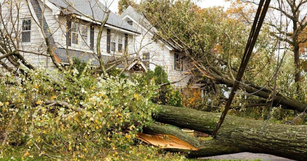 What to Do If Your Hurricane Claim Was Denied